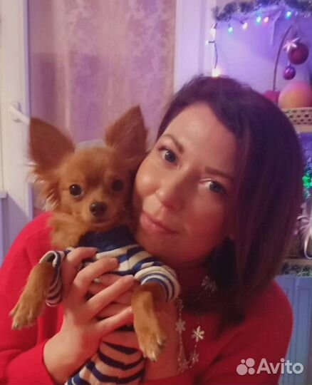 Администратор/ Офис-менеджер