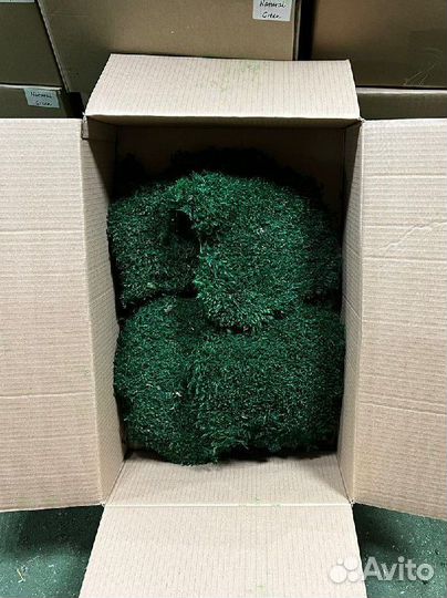 Стабилизированный мох ягель, кочка, пластовой