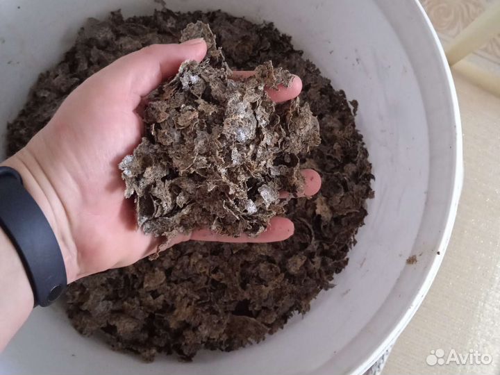 Жмых подсолнечный свежий рассыпчатый