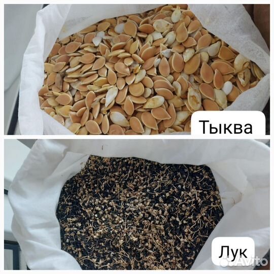 Семена овощей
