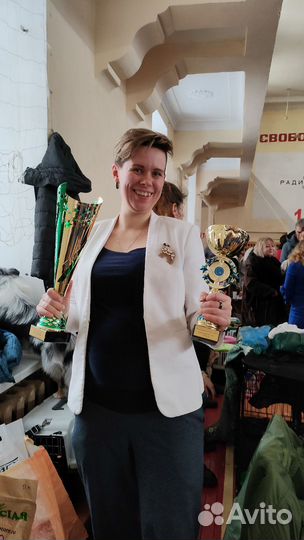 Подготовка собак к выставкам. Услуги хендлера