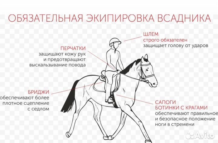 Полная экипировка для верховой езды