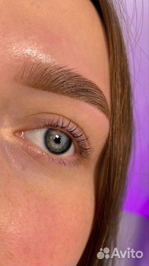 Мастер бровист