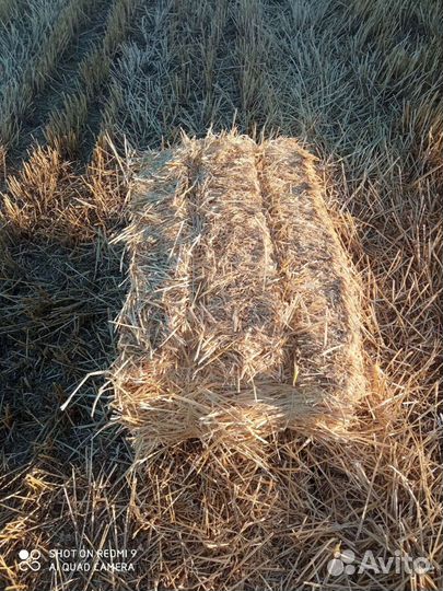 Солома в тюках