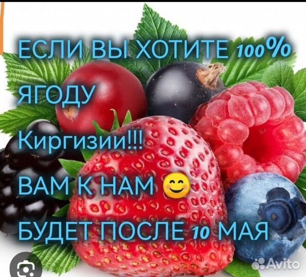 Свежая ягода