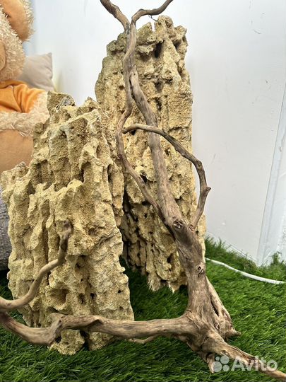 Камень песчанник / коряга