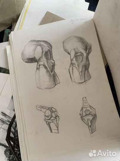 Художественные работы по анатомии человека