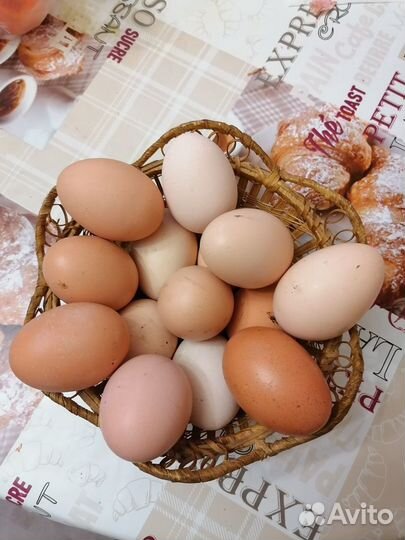 Яйца куриные