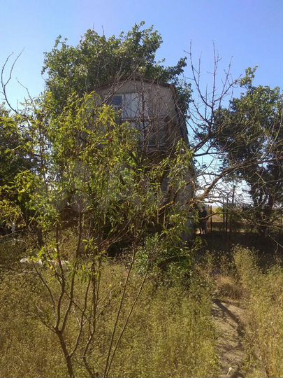 Дача 61,8 м² на участке 4,2 сот.