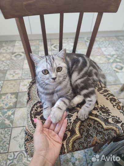 Вязка