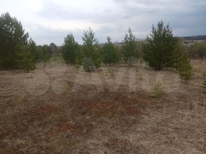 Участок 40 сот. (ИЖС)