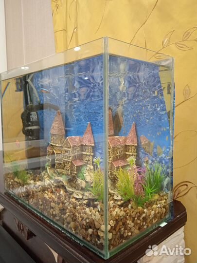 Аквариум 12 литров