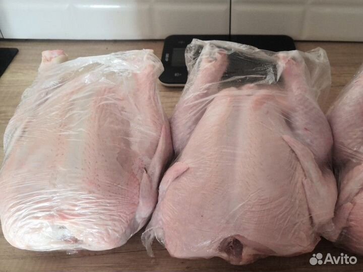 Мясо домашней курицы