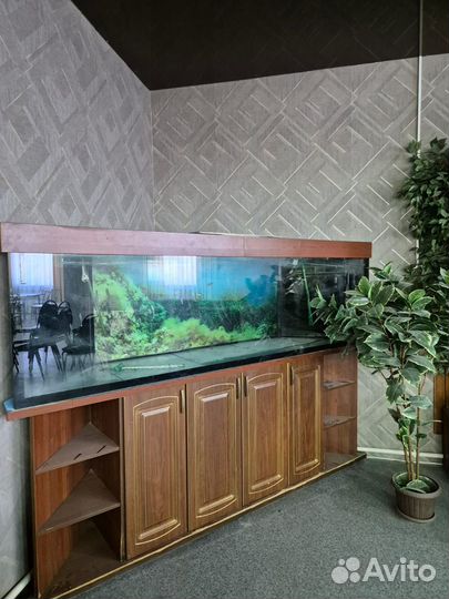 Аквариум