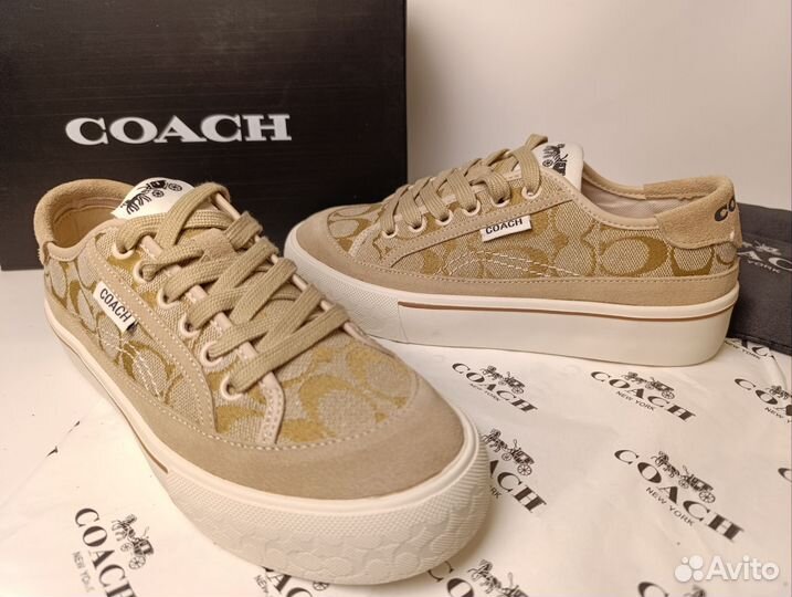 Кеды coach