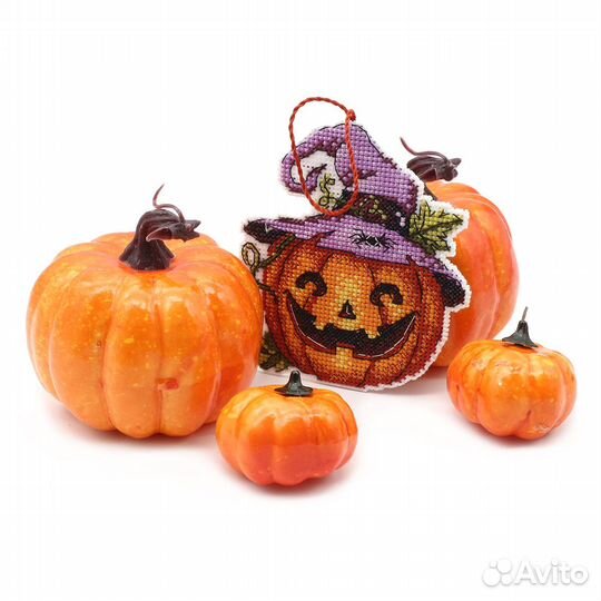 Р-313 Набор для вышивания на пластиковой канве мп