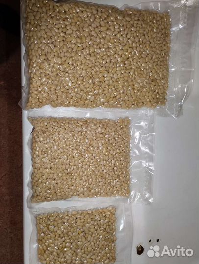 Ядро кедрового ореха