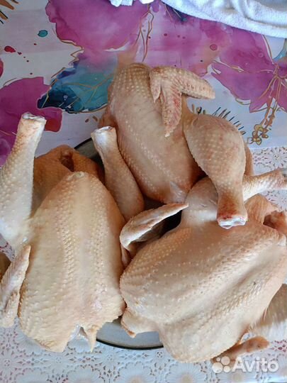 Куриное мясо