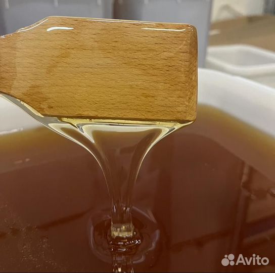 Мед свежая качка горный оптом