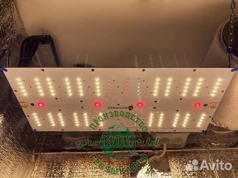 Готовый гроубокс с ключом. Рассада