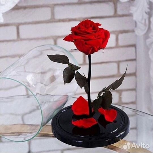 Розы в колбе