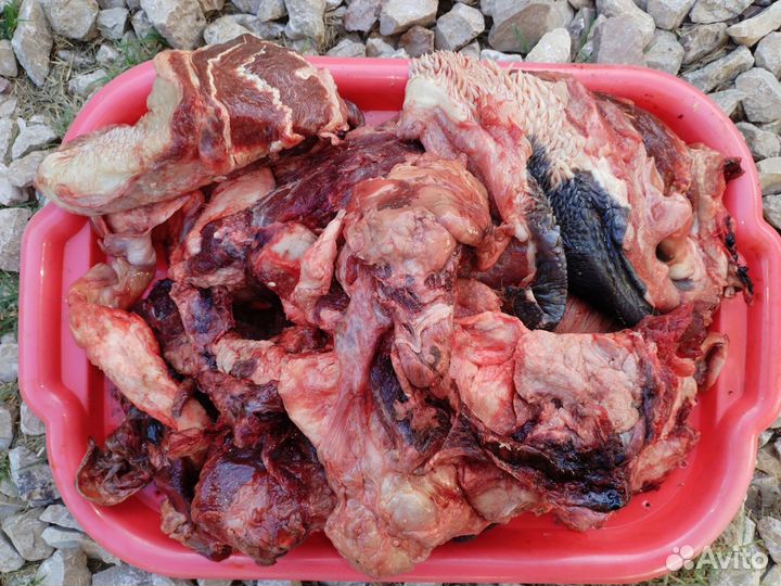 Мясо для животных