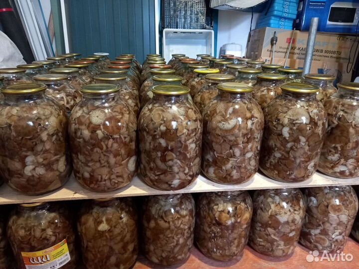 Грибы маринованные