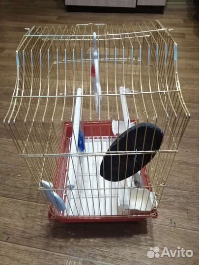 Почти новая клеточка для вашей любимой птички
