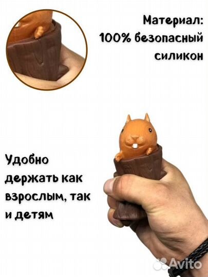 Белка в дупле