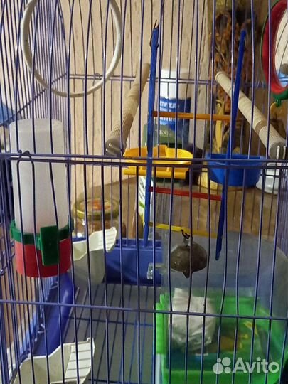 Клетка для волнистого попугая