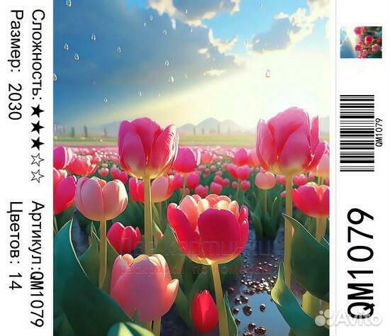 Картина по номерам 20x30