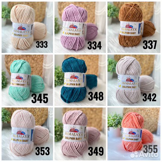 Himalaya dolphin baby