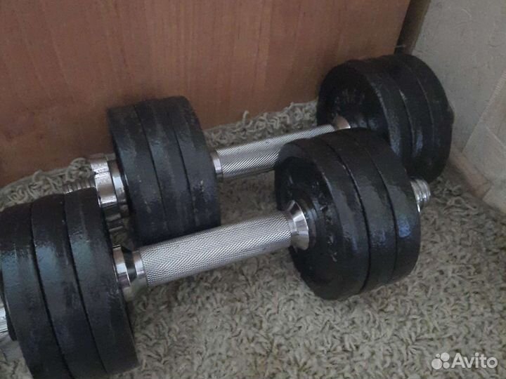 Торнео гантели