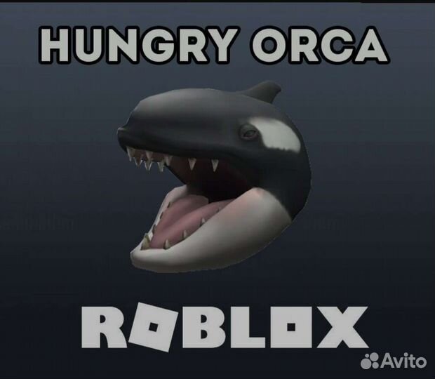 Код Голова Косатки - Hungry Orca Роблокс Roblox