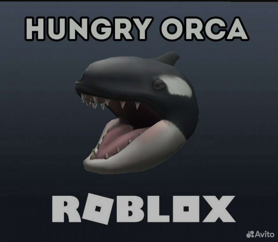 Купить 🔑Roblox: КОД Hungry Orca ✓ 100% АКУЛА недорого, выбор у разных  продавцов с разными способами оплаты. Моментальная доставка.