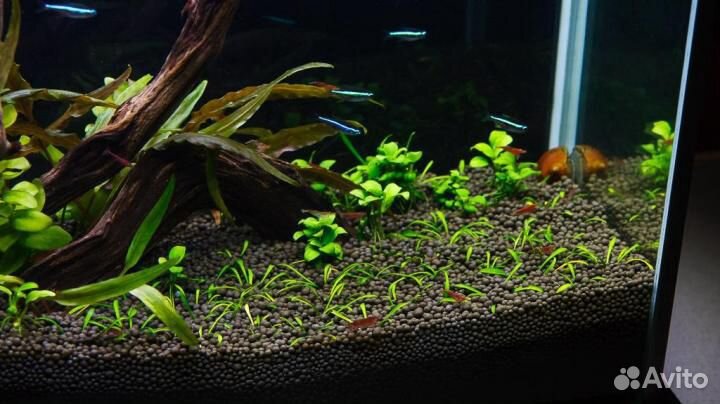 Пропант для аквариума