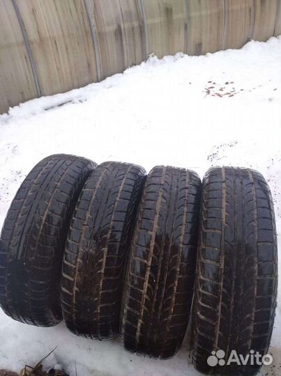 Tunga Tunga 65 R15