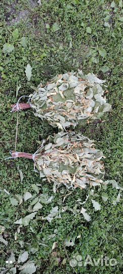 Веники для бани, свежие пихта, можжевельник