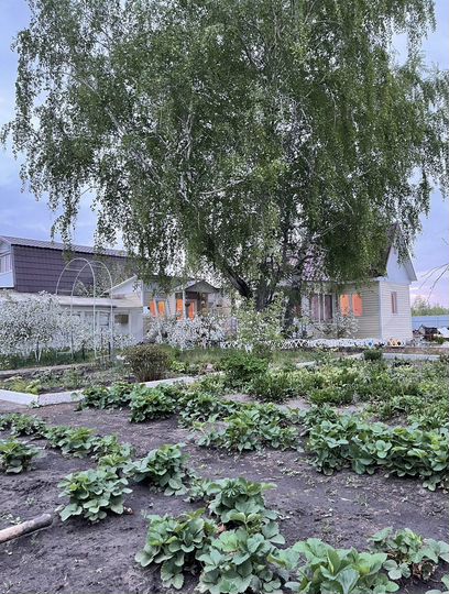 Дача 25 м² на участке 9 сот.