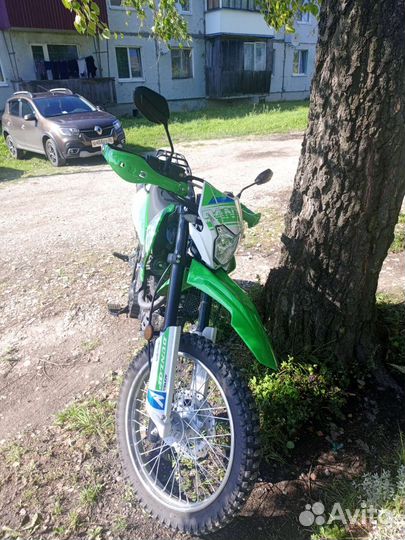 Рейсер пантера 300