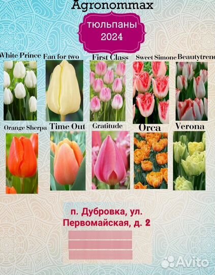 Тюльпаны к 8 марта оптом