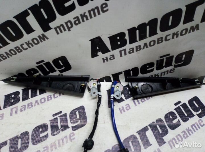 Динамик Toyota Ipsum ACM21 2AZ 2002.11