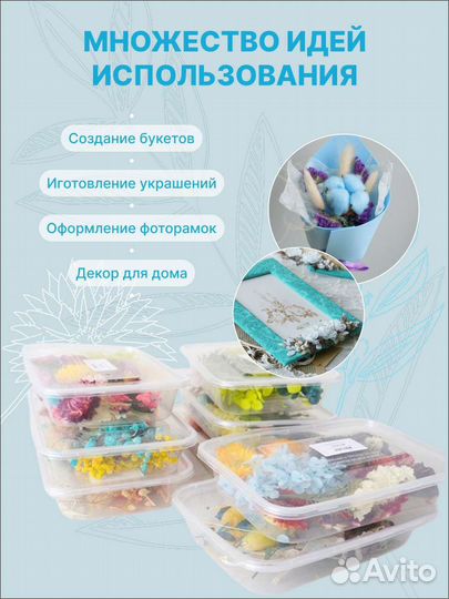 Сухоцветы набор