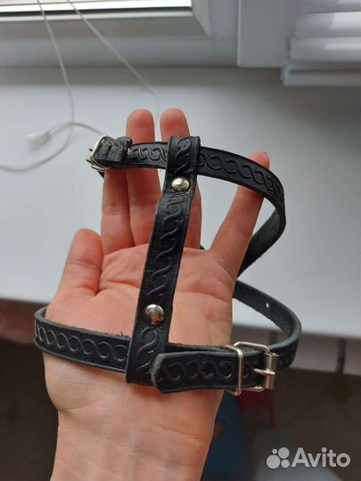Кожаная шлейка для щенка