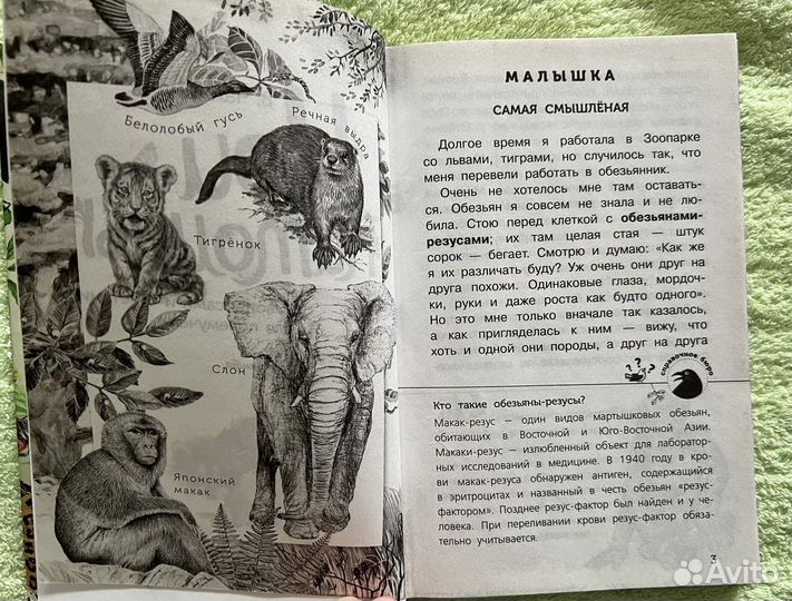 Литература для младшего школьного возраста