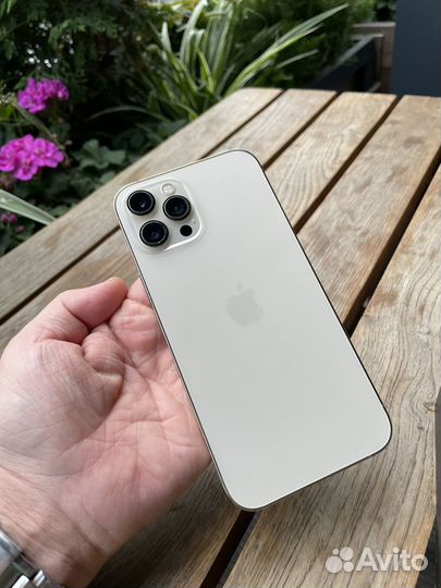 iPhone 12 Pro Max, 256 ГБ