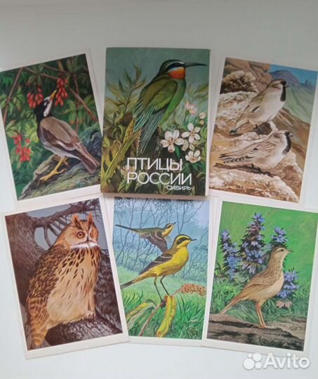 Открытки редкие