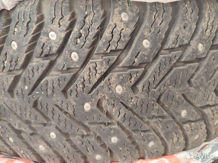 Nokian Tyres Hakkapeliitta 8 185/65 R15 92