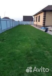 Рулонный газон