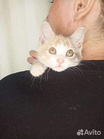 Сладкая Зайка ждёт свою маму и папу